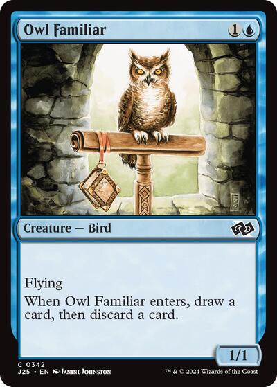 Owl Familiar J25 #342 (Near Mint Common) Magic: The Gathering: Foundations Jumpstart
