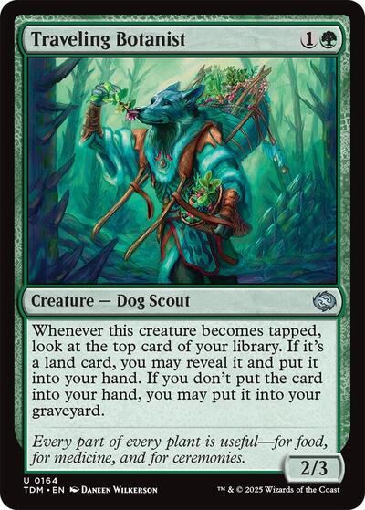 Traveling Botanist TDM #164 (Near Mint Uncommon) Magic: The Gathering: Tarkir: Dragonstorm