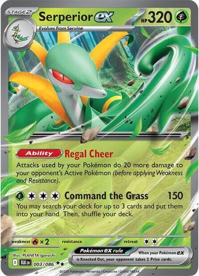 Serperior ex Holofoil BLK #003/086 (Near Mint Double Rare) Pokemon: SV: Black Bolt