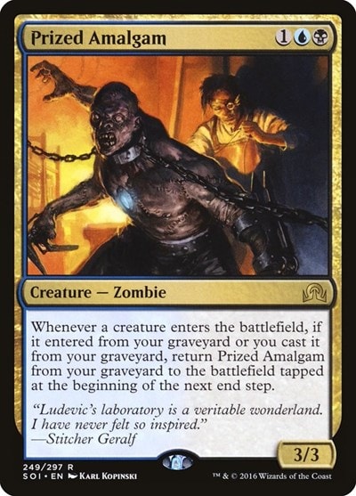 Prized Amalgam SOI #249 (Heavily Played Rare) Magic: The Gathering: Shadows over Innistrad