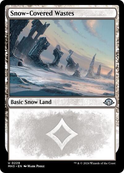 Snow Covered Wastes 0229 MH3 #229 (Near Mint Uncommon) Magic: The Gathering: Modern Horizons 3