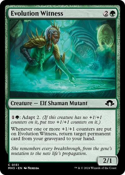 Evolution Witness MH3 #151 (Near Mint Common) Magic: The Gathering: Modern Horizons 3