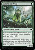 Sunshower Druid BLB #195 (Near Mint Common) Magic: The Gathering: Bloomburrow