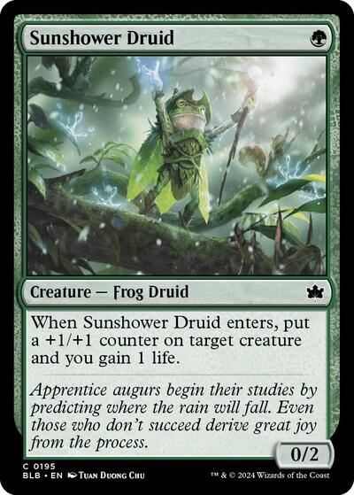 Sunshower Druid BLB #195 (Near Mint Common) Magic: The Gathering: Bloomburrow
