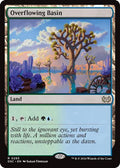 Overflowing Basin DSC #293 (Near Mint Rare) Magic: The Gathering: Commander: Duskmourn: House of Horror