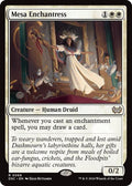 Mesa Enchantress DSC #68 (Near Mint Rare) Magic: The Gathering: Commander: Duskmourn: House of Horror