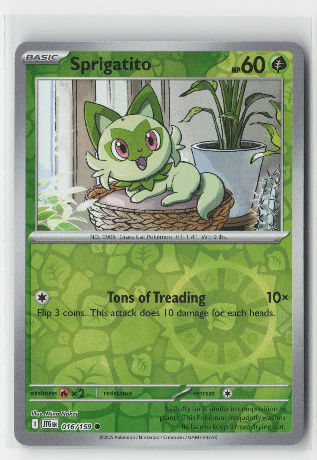 Sprigatito Reverse Holo Journey Together 016/159 C Pokemon NM