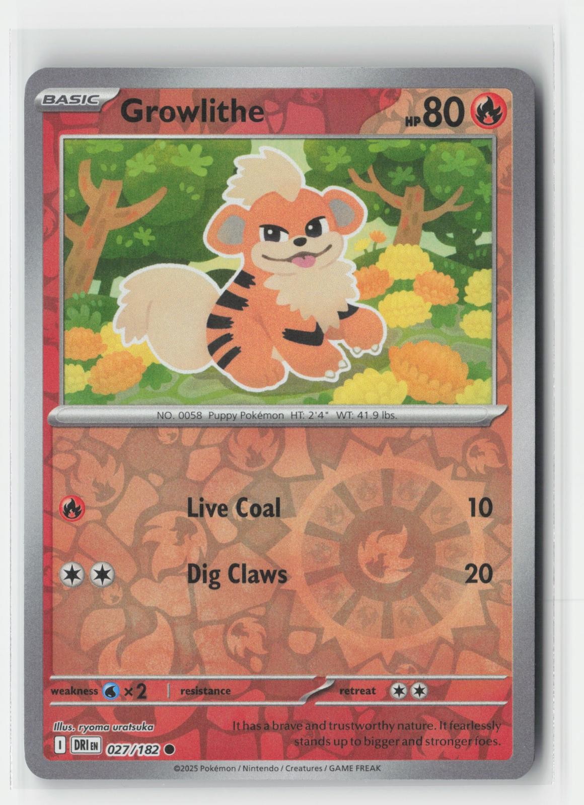 Growlithe Reverse Holo Destined Rivals 027/182 C Pokemon NM