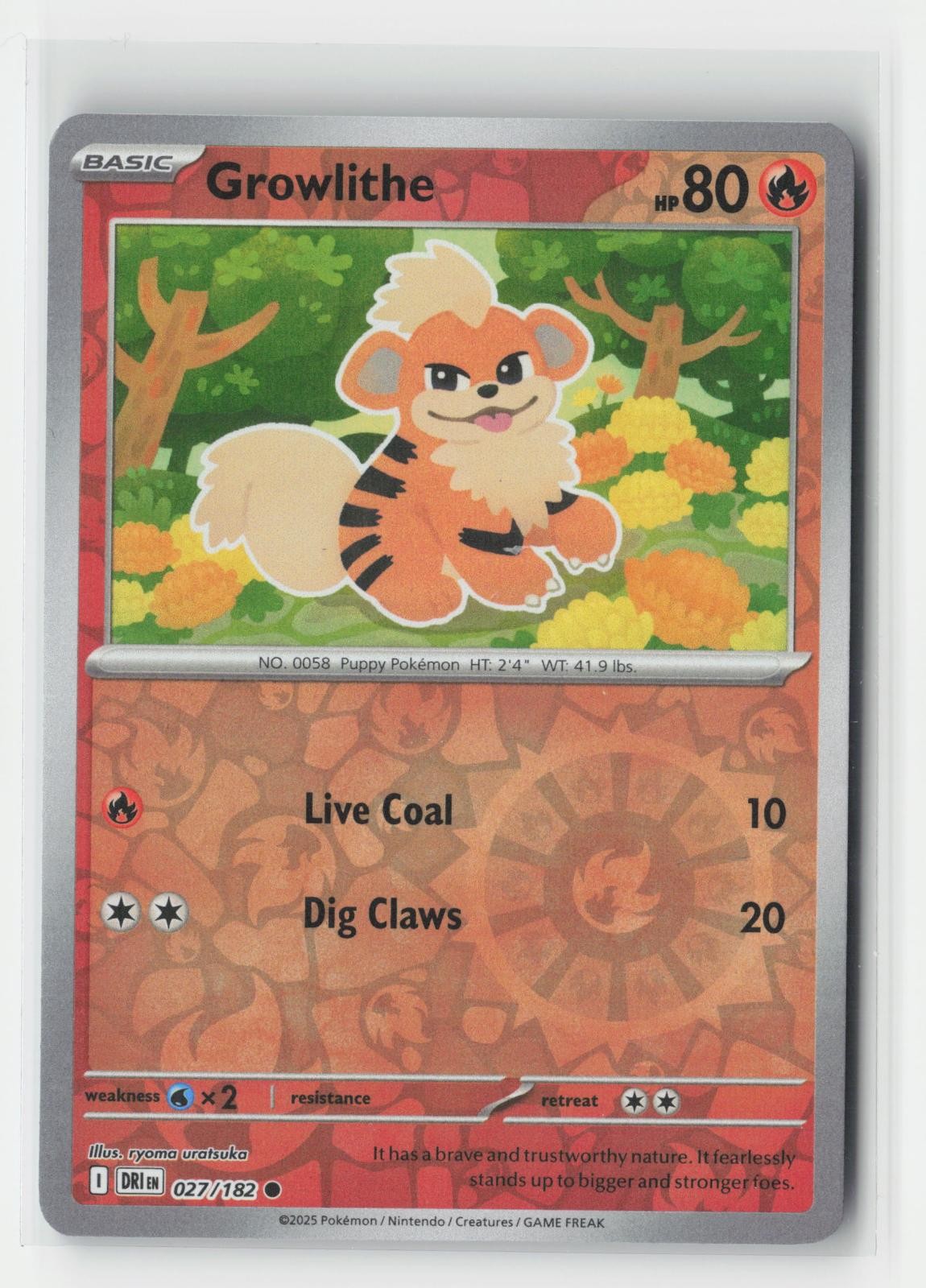 Growlithe Reverse Holo Destined Rivals 027/182 C Pokemon NM