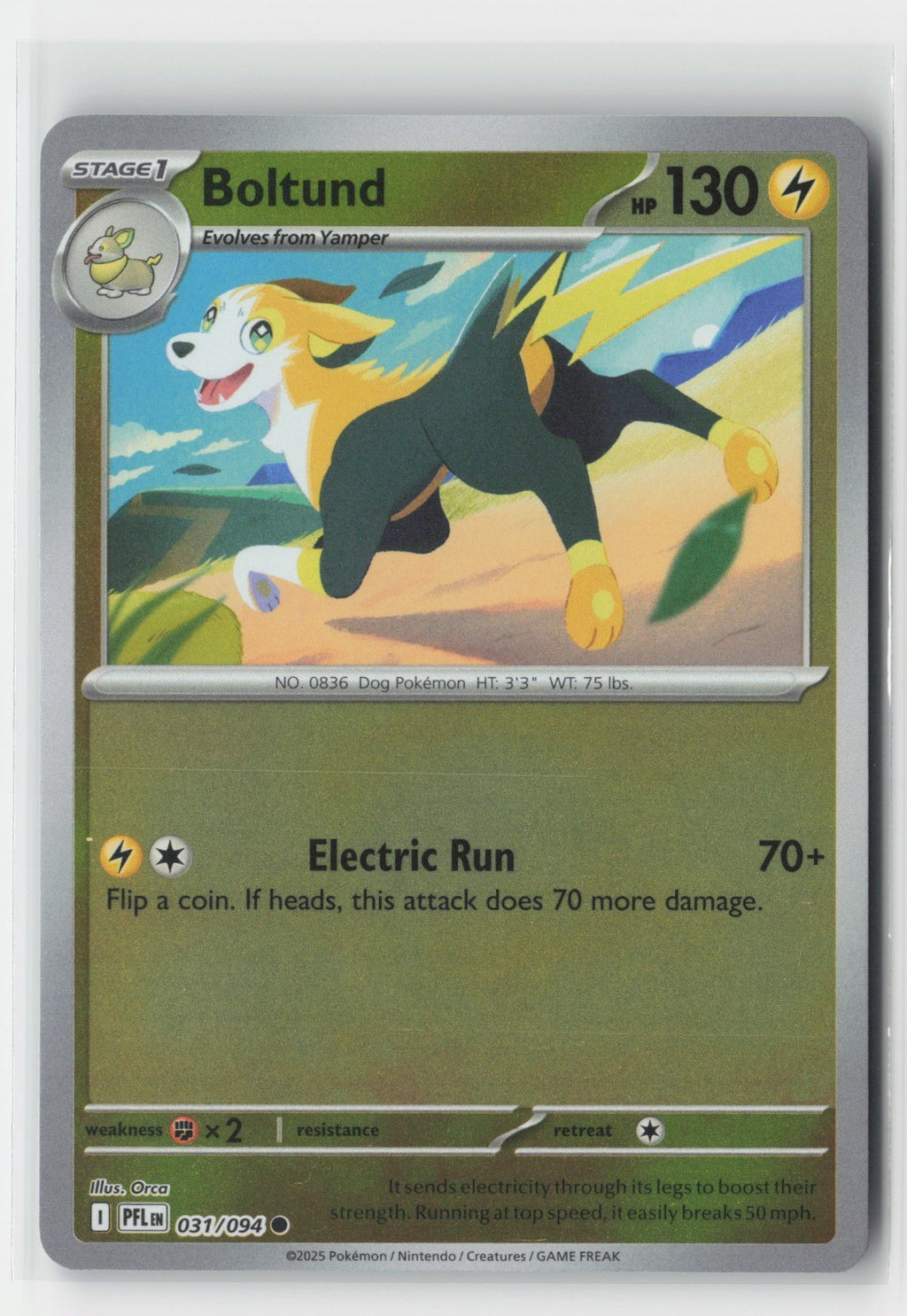 Boltund Reverse Holo ME02: Phantasmal Flames PFL 031/094 Pokemon TCG