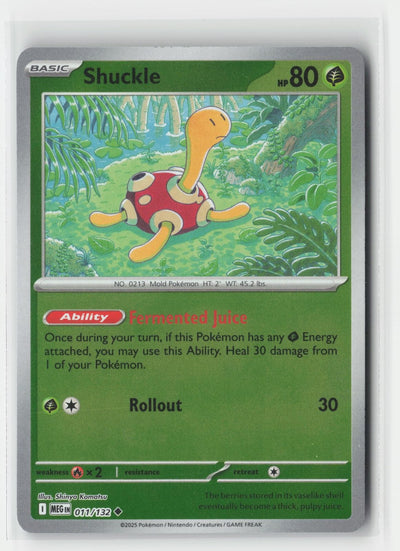 Shuckle Reverse Holo Mega Evolution 011/132 UC Pokemon NM