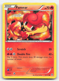 Pansear Plasma Storm 19/135 C Pokemon LP