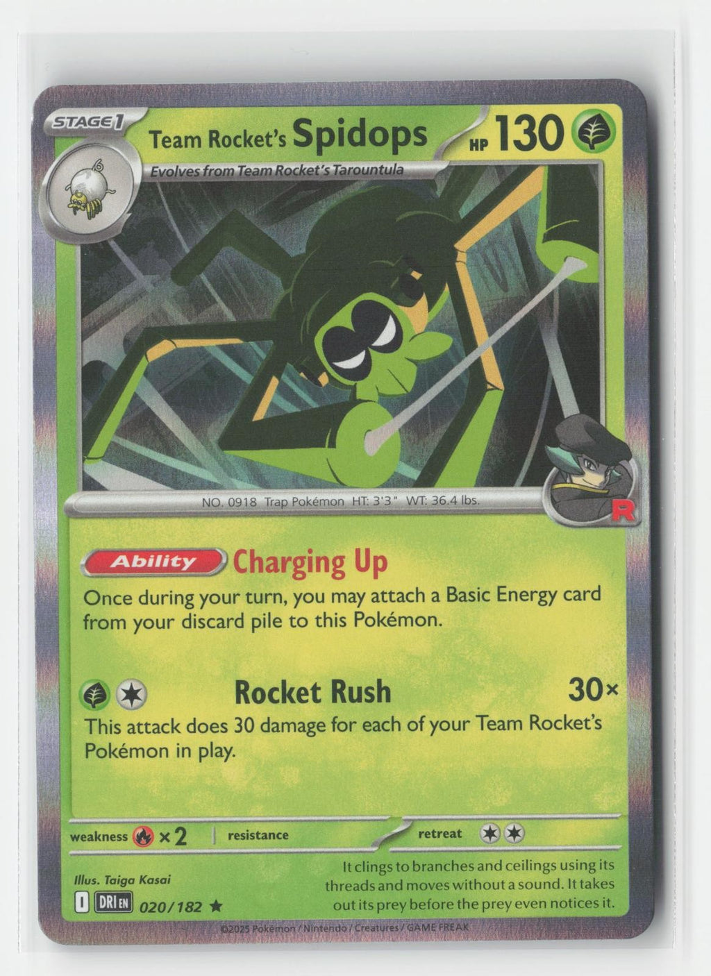 Team Rocket's Spidops Holo Destined Rivals 020/182 R Pokemon NM