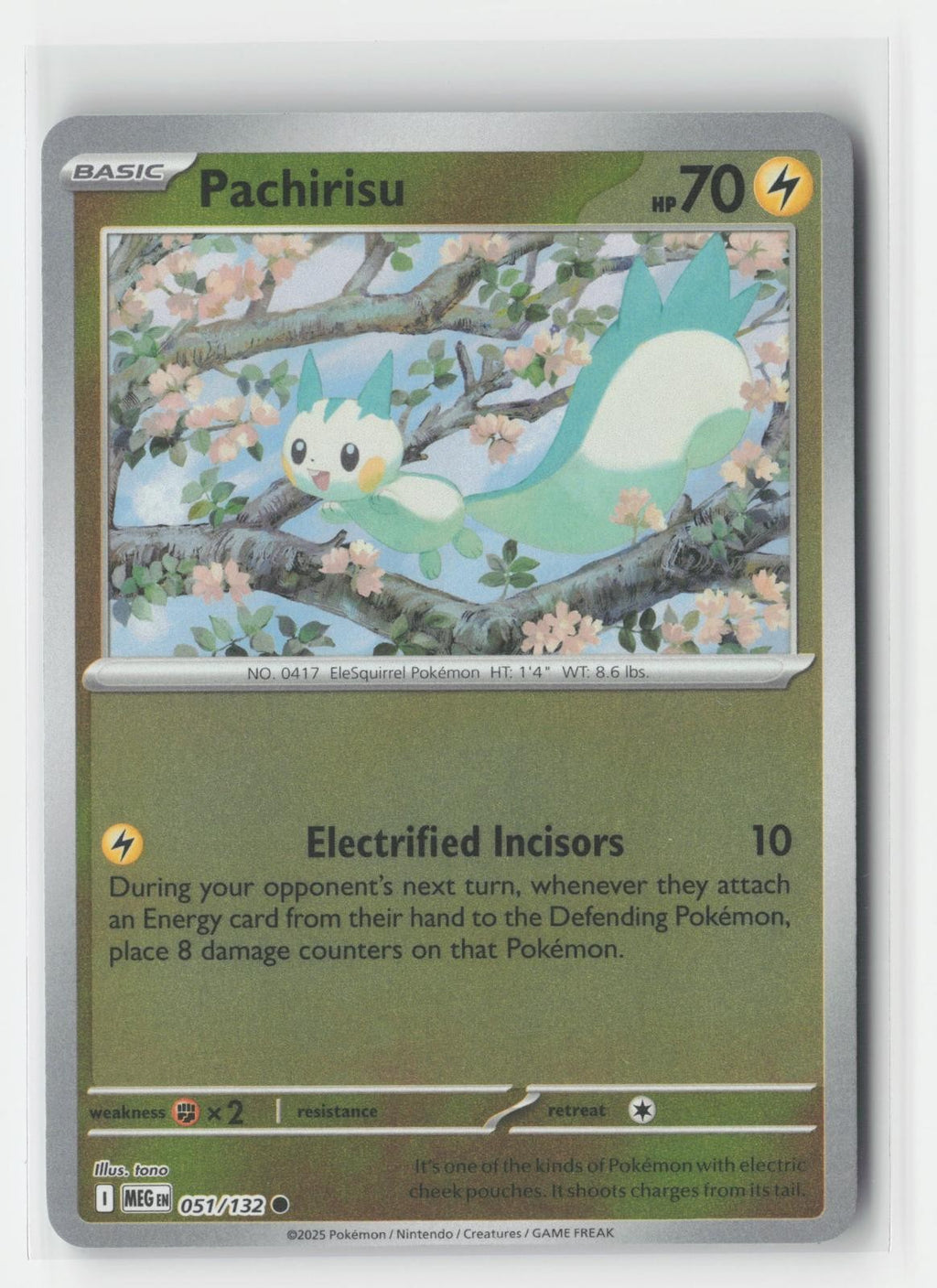 Pachirisu Reverse Holo Mega Evolution 051/132 C Pokemon NM