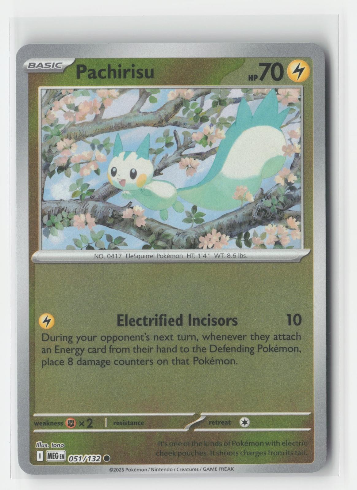 Pachirisu Reverse Holo Mega Evolution 051/132 C Pokemon NM