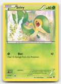 Snivy Fates Collide 5/124 C Pokemon LP