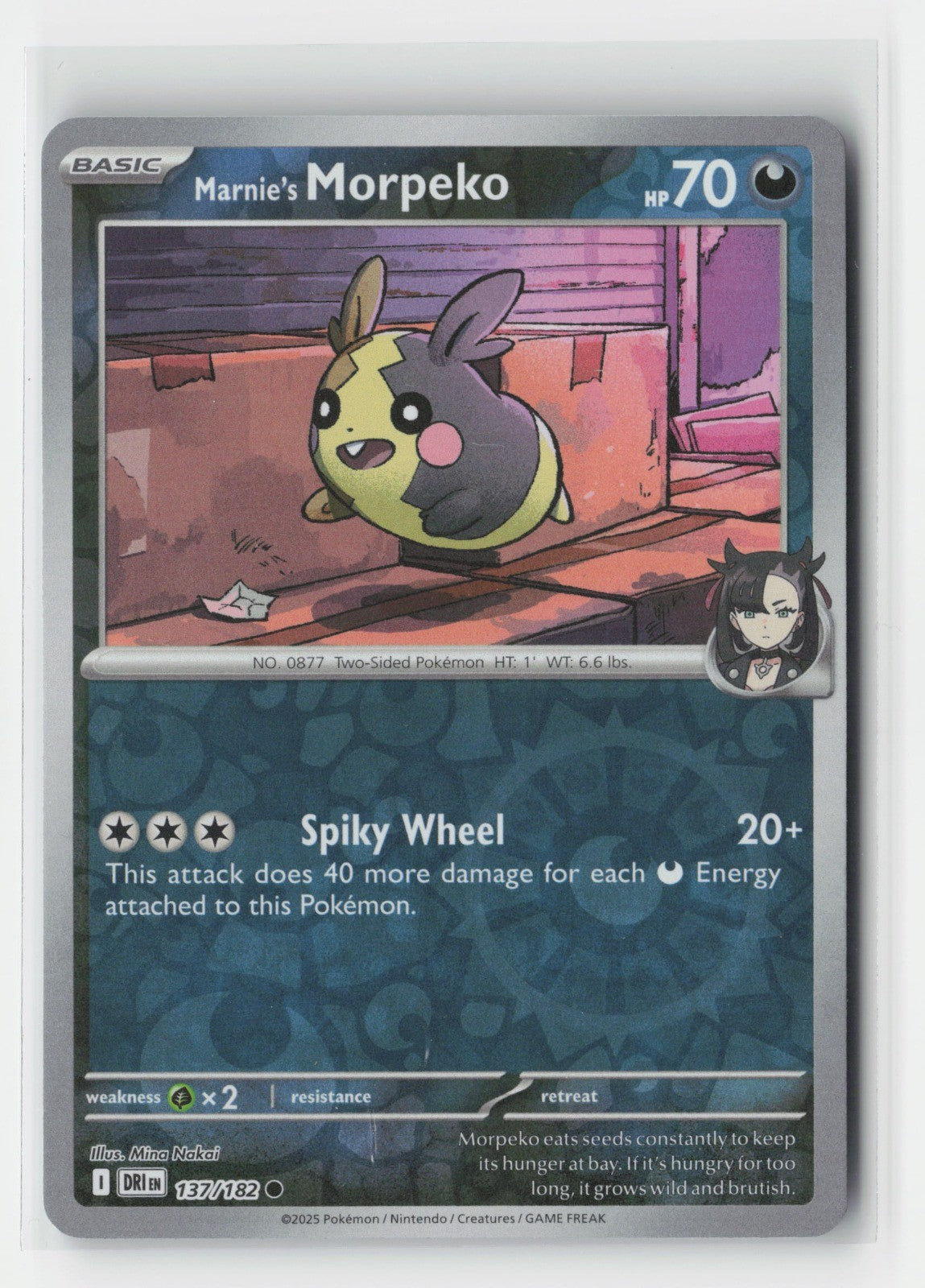 Marnie's Morpeko Reverse Holo SV10: Destined Rivals DRI 137/182 Pokemon TCG