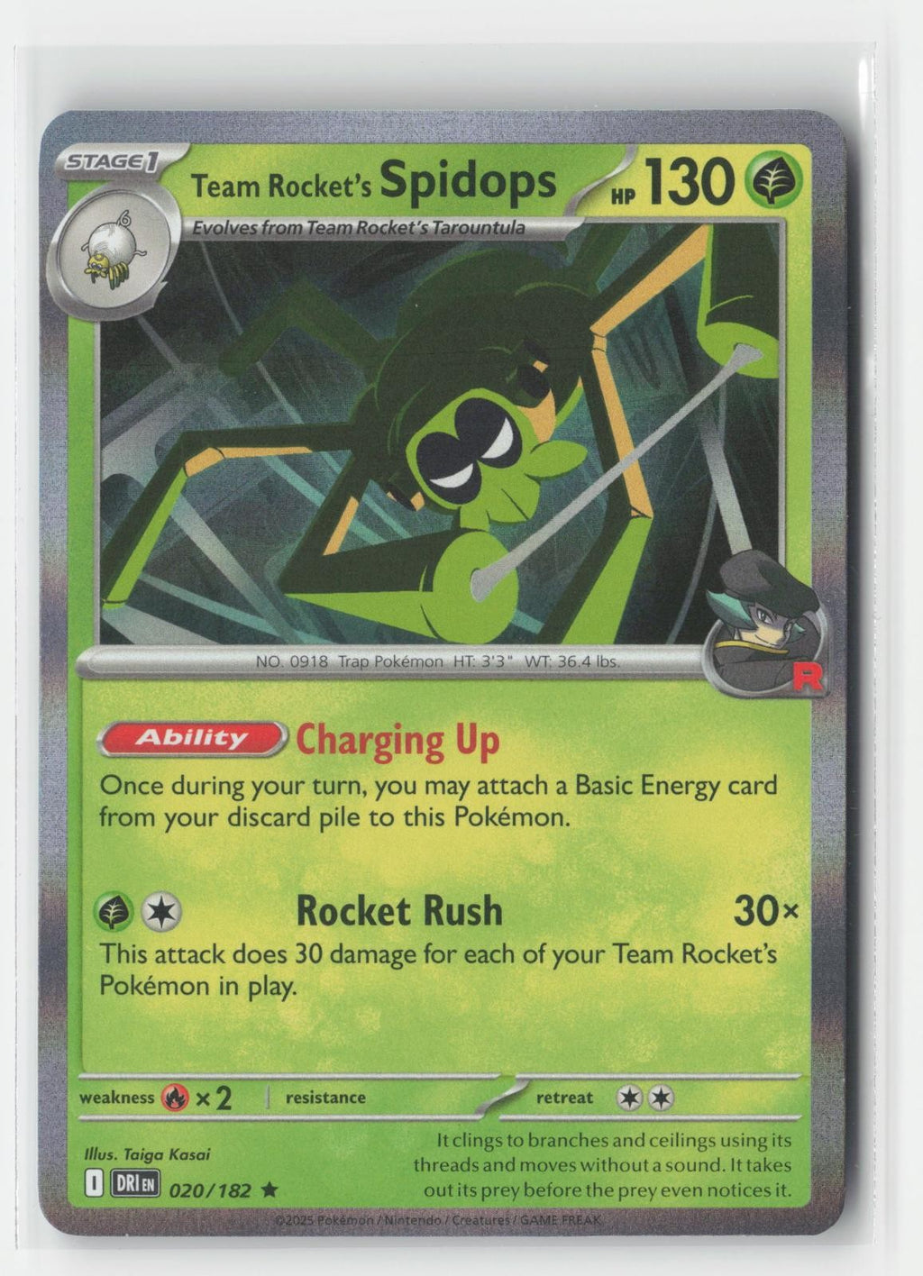 Team Rocket's Spidops Holo Destined Rivals 020/182 R Pokemon NM