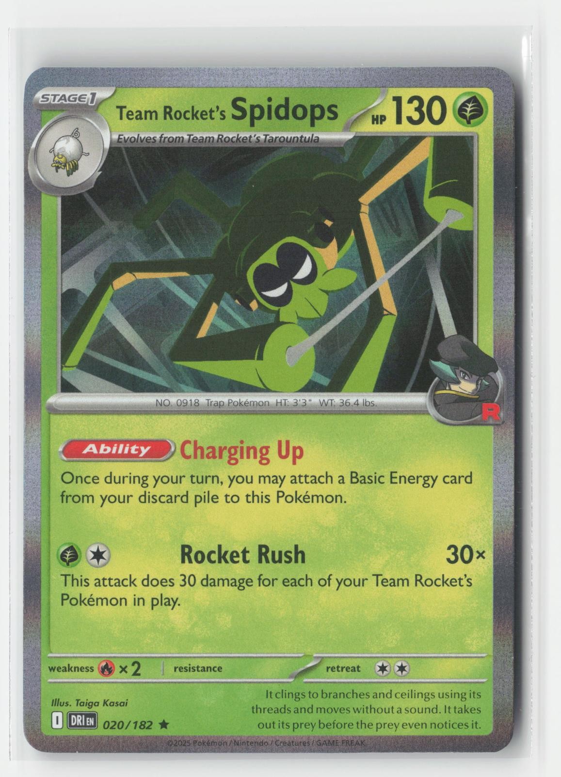 Team Rocket's Spidops Holo Destined Rivals 020/182 R Pokemon NM