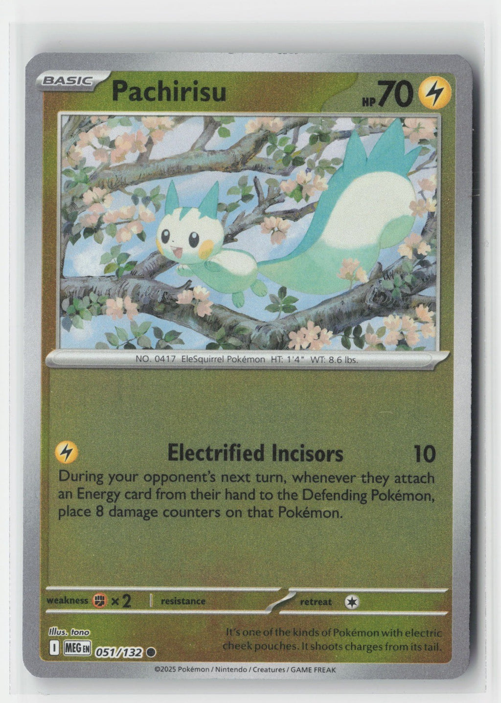Pachirisu Reverse Holo ME01: Mega Evolution MEG 051/132 Pokemon TCG