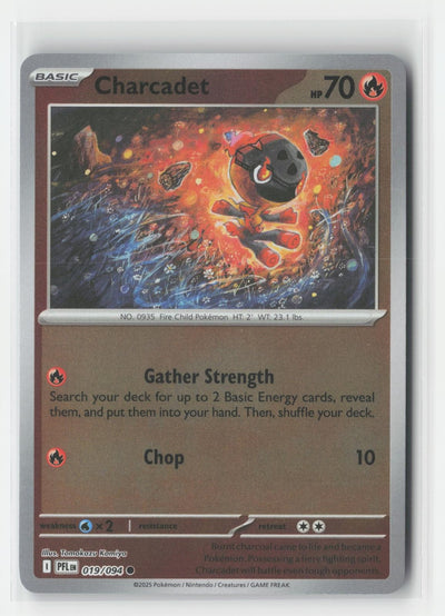 Charcadet Reverse Holo Phantasmal Flames 019/094 C Pokemon NM