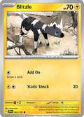 Blitzle SV08: Surging Sparks SSP #062/191 (Common) Pokemon: