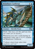 Brineborn Cutthroat J25 #291 (Near Mint Uncommon) Magic: The Gathering: Foundations Jumpstart
