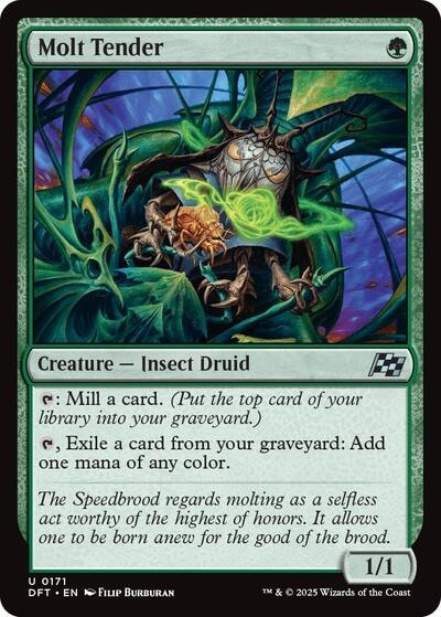Molt Tender DFT #171 (Near Mint Uncommon) Magic: The Gathering: Aetherdrift