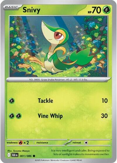 Snivy Reverse Holofoil BLK #001/086 (Near Mint Common) Pokemon: SV: Black Bolt