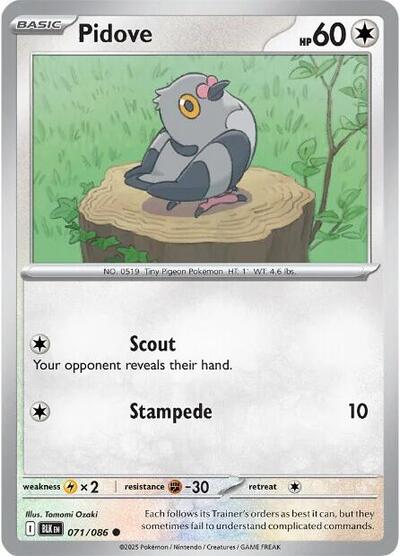 Pidove Reverse Holofoil BLK #071/086 (Near Mint Common) Pokemon: SV: Black Bolt