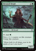 Devoted Druid ECC #104 (Near Mint Uncommon) Magic: The Gathering: Commander: Lorwyn Eclipsed
